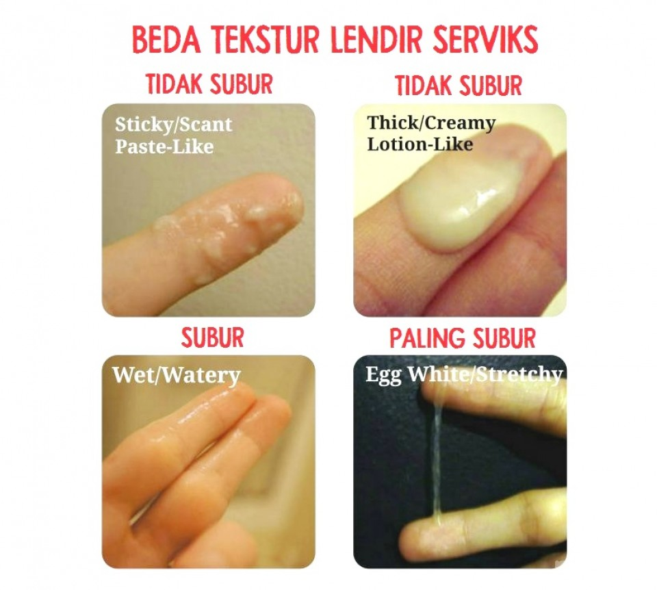 Keluar Lendir seperti Putih Telur dari Vagina, Apa Artinya? Ini Penjelasannya 3 1689453957