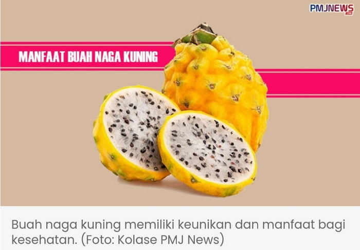 7 Manfaat Buah Naga Kuning untuk Tubuh yang Lebih Sehat & Khasiatnya 1 1703043761 picsay