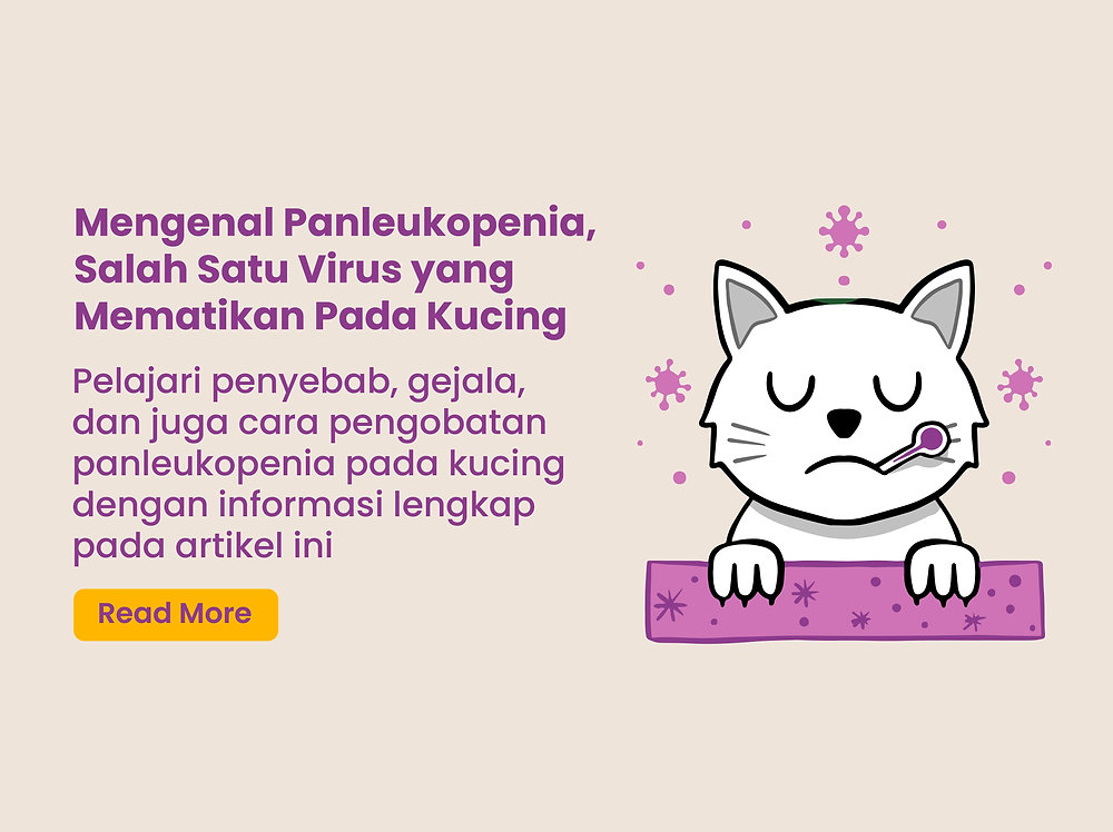 10 Penyakit Kulit Kucing, Gejala, dan Cara Mengobatinya: Panduan Lengkap 2 33b349 2075f3ca4d5d4abe9f560ed190e11537mv2