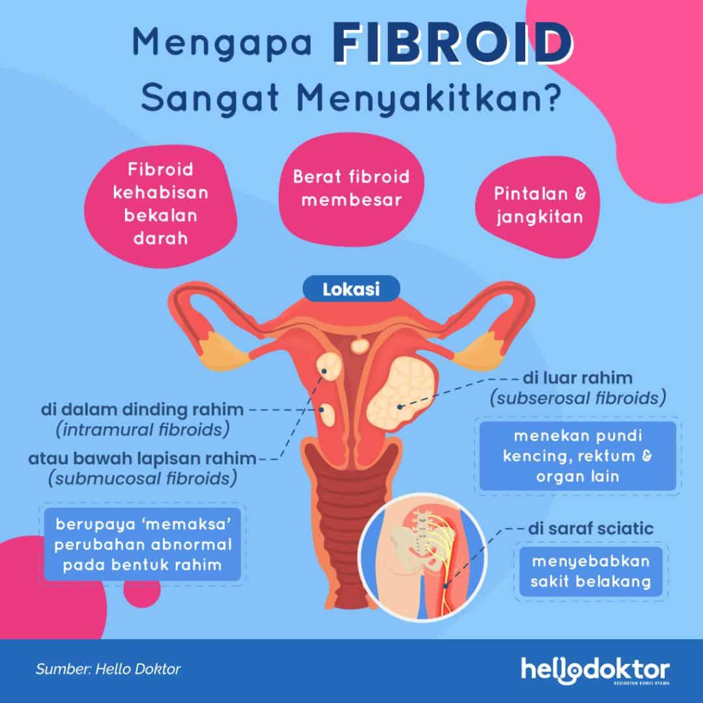 Bentuk Rahim, Mana yang Normal dan Mana yang Tidak? Panduan Lengkap Medis 2 5fb88f41 tanda rahim tidak sihat 2 1024x1024 1