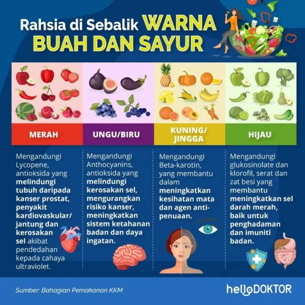 7 Manfaat Buah Kering untuk Kesehatan dan Risikonya: Panduan Lengkap 3 8e0a2ead 202030071 2735220833405105 1803356435587366738 n e1661145584640