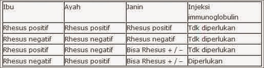Mengenal Sistem Rhesus dalam Golongan Darah Anda: Panduan Lengkap 3 Rhesus