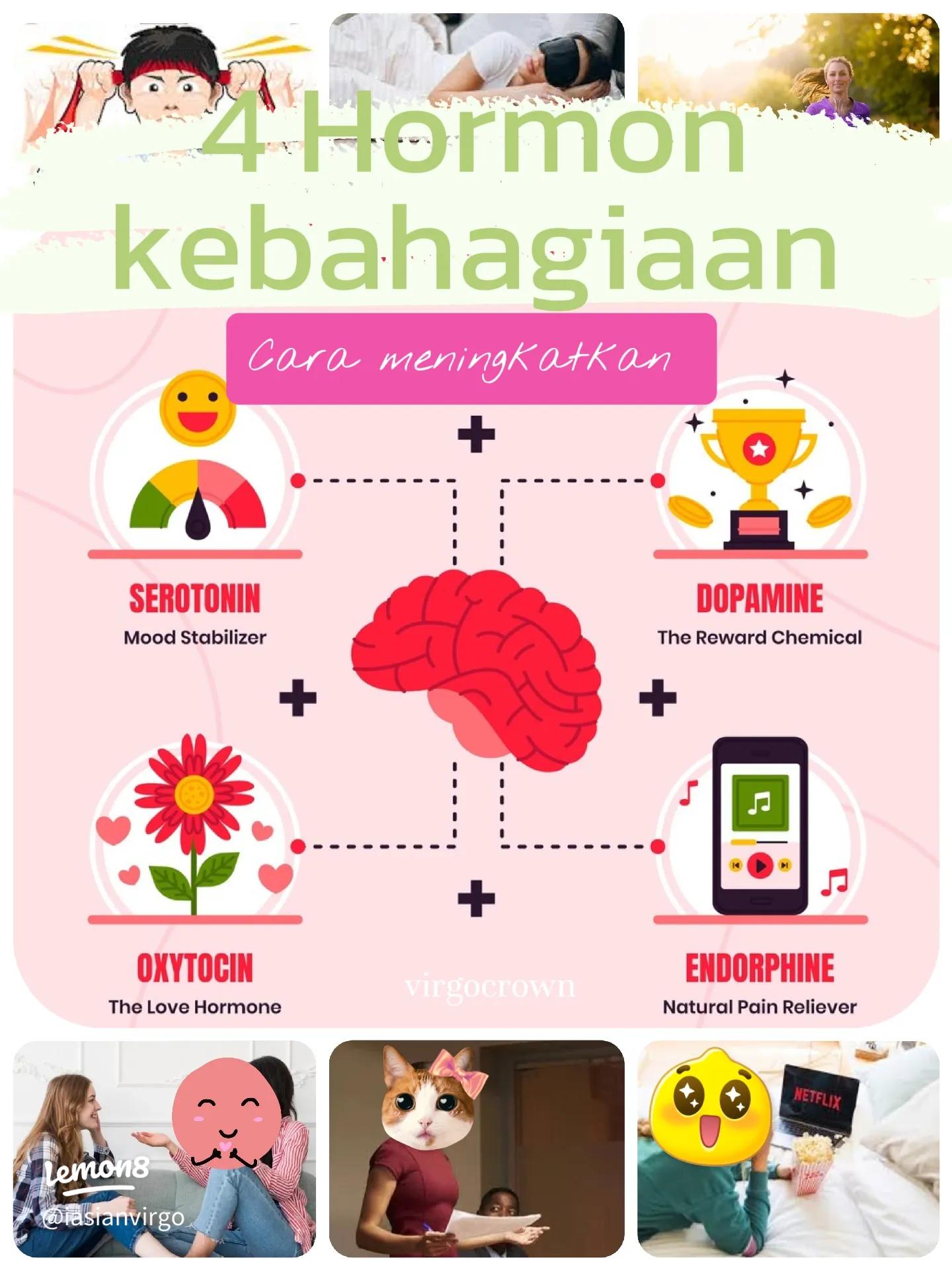 Mengenal Fungsi Serotonin dan Cara Meningkatkannya Secara Alami 1