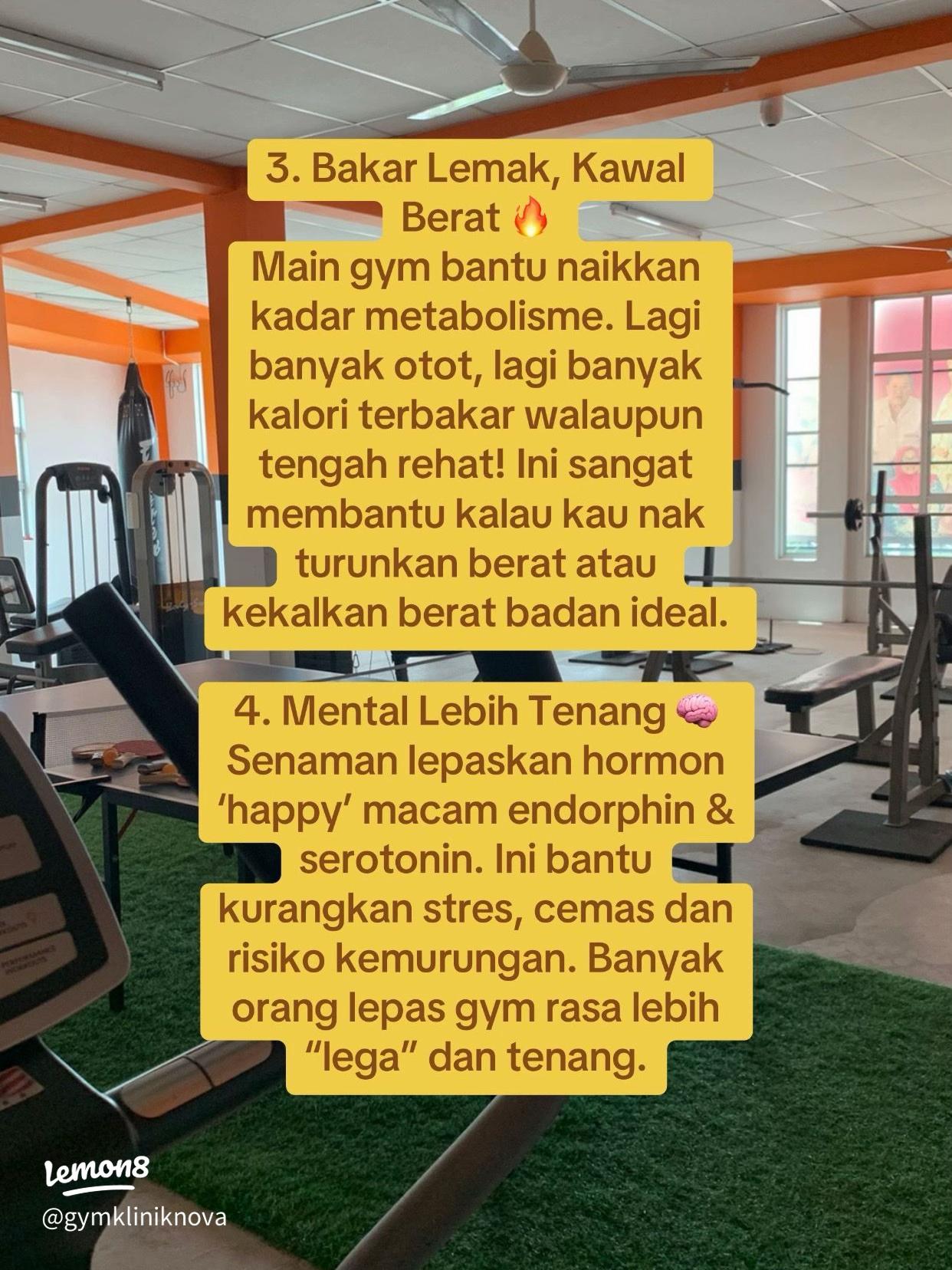 10 Alat Gym yang Bisa Dicoba untuk Menurunkan Berat Badan: Panduan Efektif 3