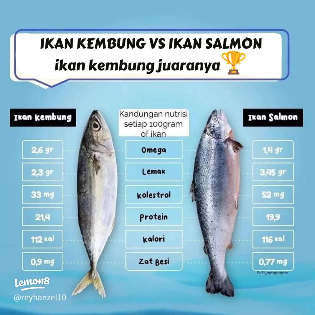 10 Jenis Ikan Tinggi Protein yang Murah dan Mudah Diperoleh: Pilihan Terbaik & Sihat 2