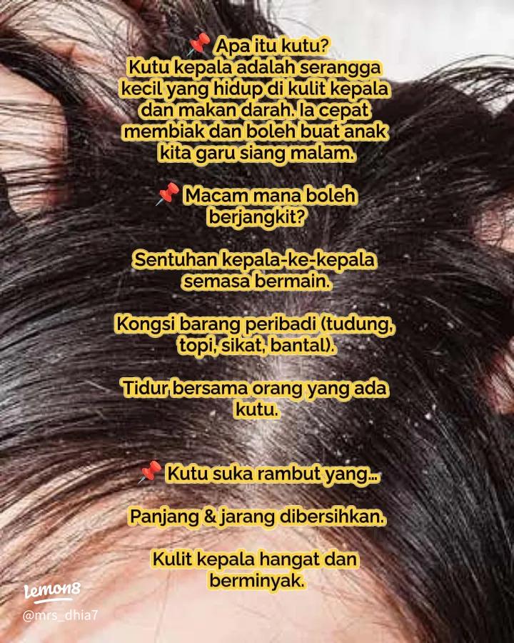 Bisakah Kutu Rambut Hilang Sendiri Tanpa Diobati? Ini Faktanya 1