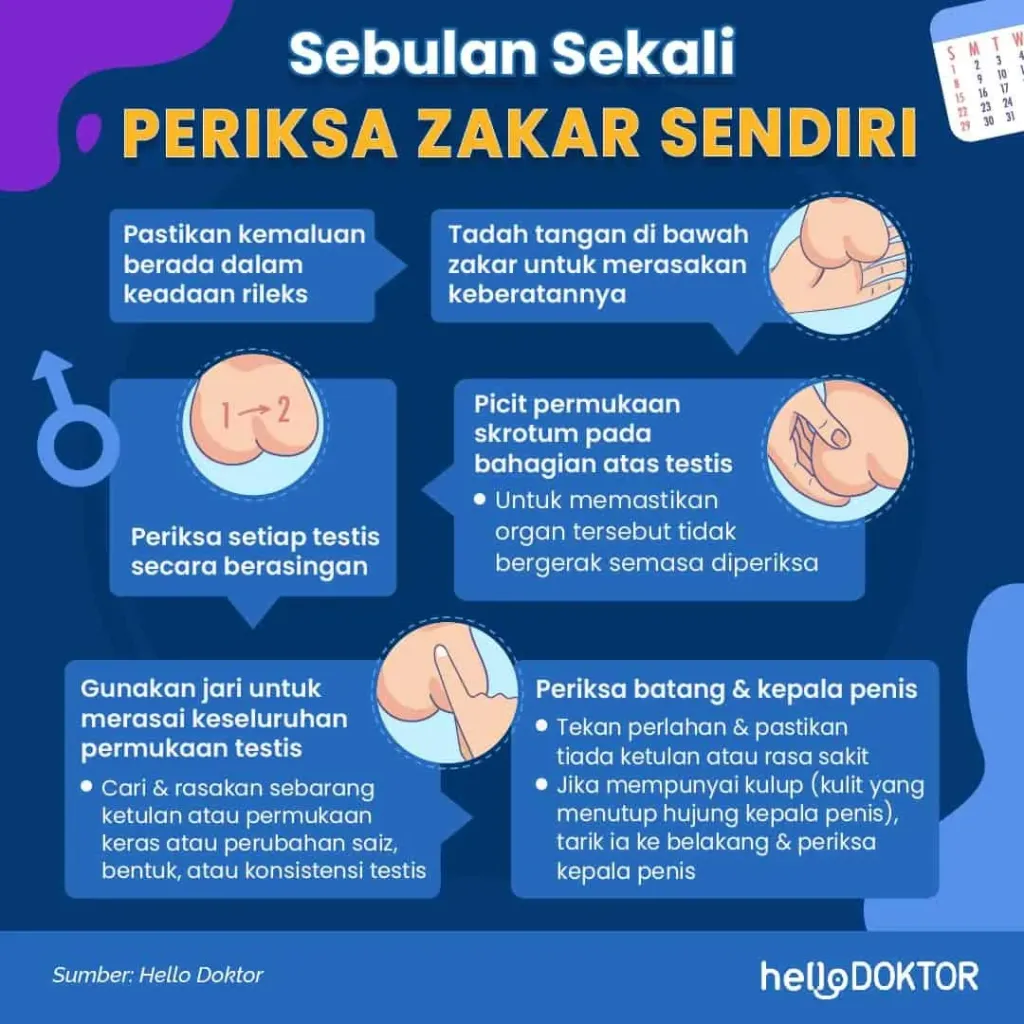 10 Penyebab Benjolan di Penis dan Pengobatannya yang Wajib Diketahui 3 f0777b57 kepala zakar bengkak 2 1024x1024 1