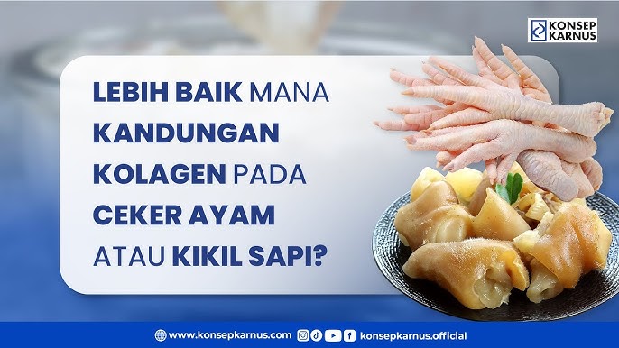 Tinggi Kolagen, Ini 8 Manfaat Kikil Sapi untuk Kesehatan yang Wajib Anda Tahu 3 hq720