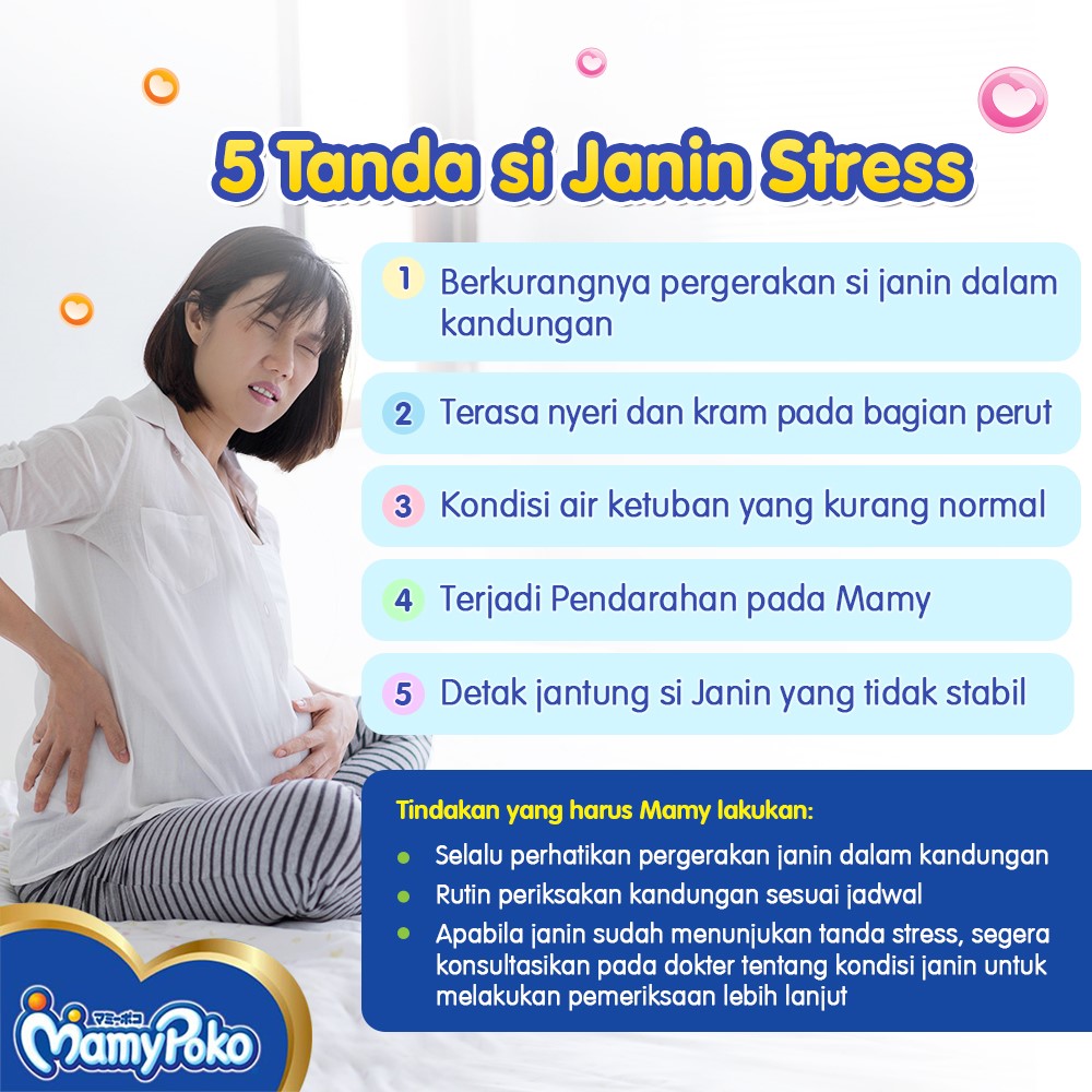 10 Aktivitas Janin dalam Kandungan yang Menakjubkan: Fakta Unik Ibu Wajib Tahu 1 img pregnancy151