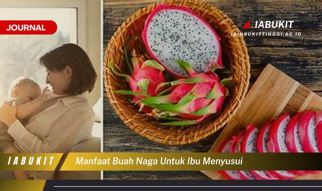 7 Manfaat Buah Naga Kuning untuk Tubuh yang Lebih Sehat & Khasiatnya 3 manfaat buah naga untuk ibu menyusui