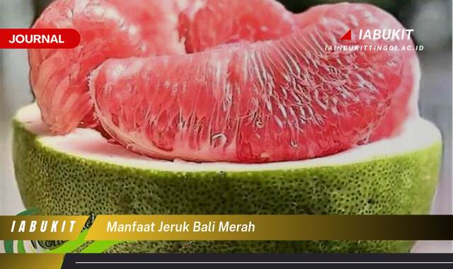 7 Khasiat Jeruk Bali Merah, Buah Tropis yang Kaya Zat Gizi untuk Kesehatan 4 manfaat jeruk bali merah