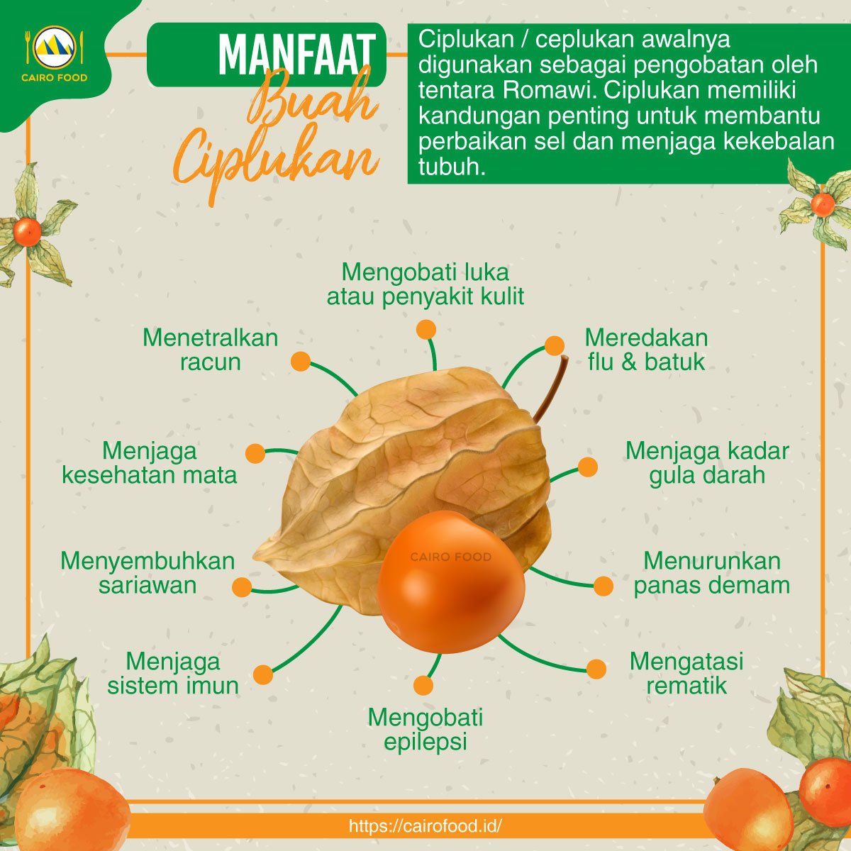 6 Manfaat Buah Ciplukan, Buah yang Biasa Tumbuh Liar untuk Kesehatan 1 mengenal buah ciplukan serta 10 manfaatnya bagi kesehatan infografis