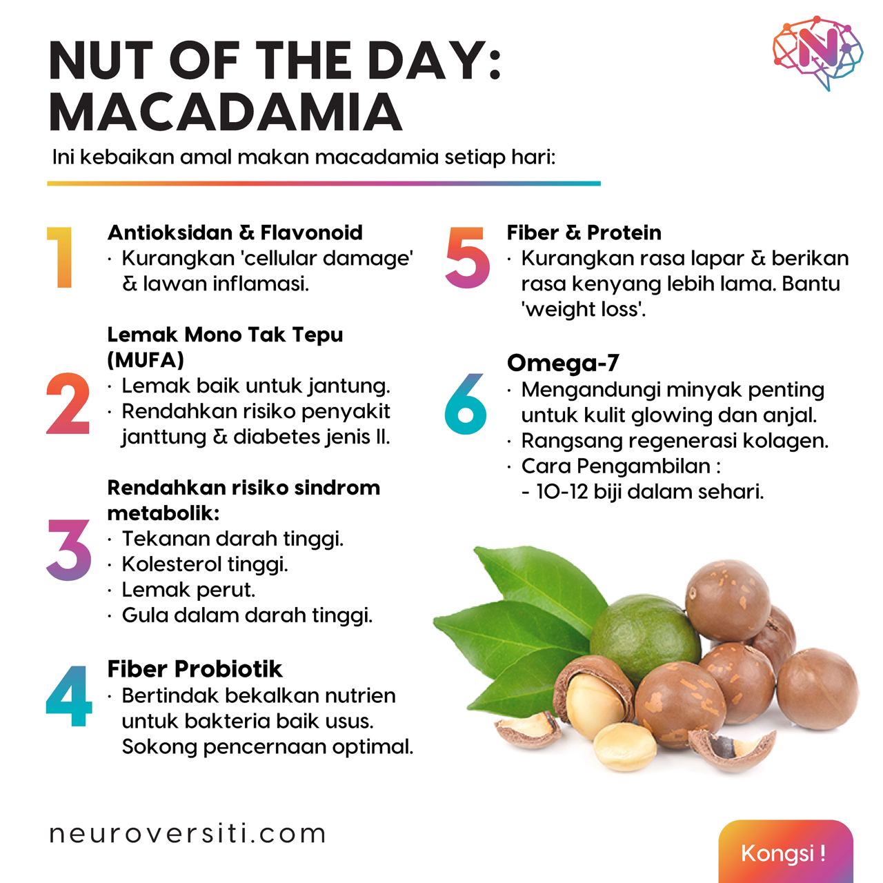 5 Manfaat Kacang Macadamia, Cocok untuk Camilan Sehat yang Wajib Diketahui 2 photo 2023 08 29 15 46 40