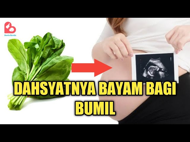 5 Efek Samping Makan Bayam yang Perlu Anda Ketahui: Waspada Risikonya 3 sddefault