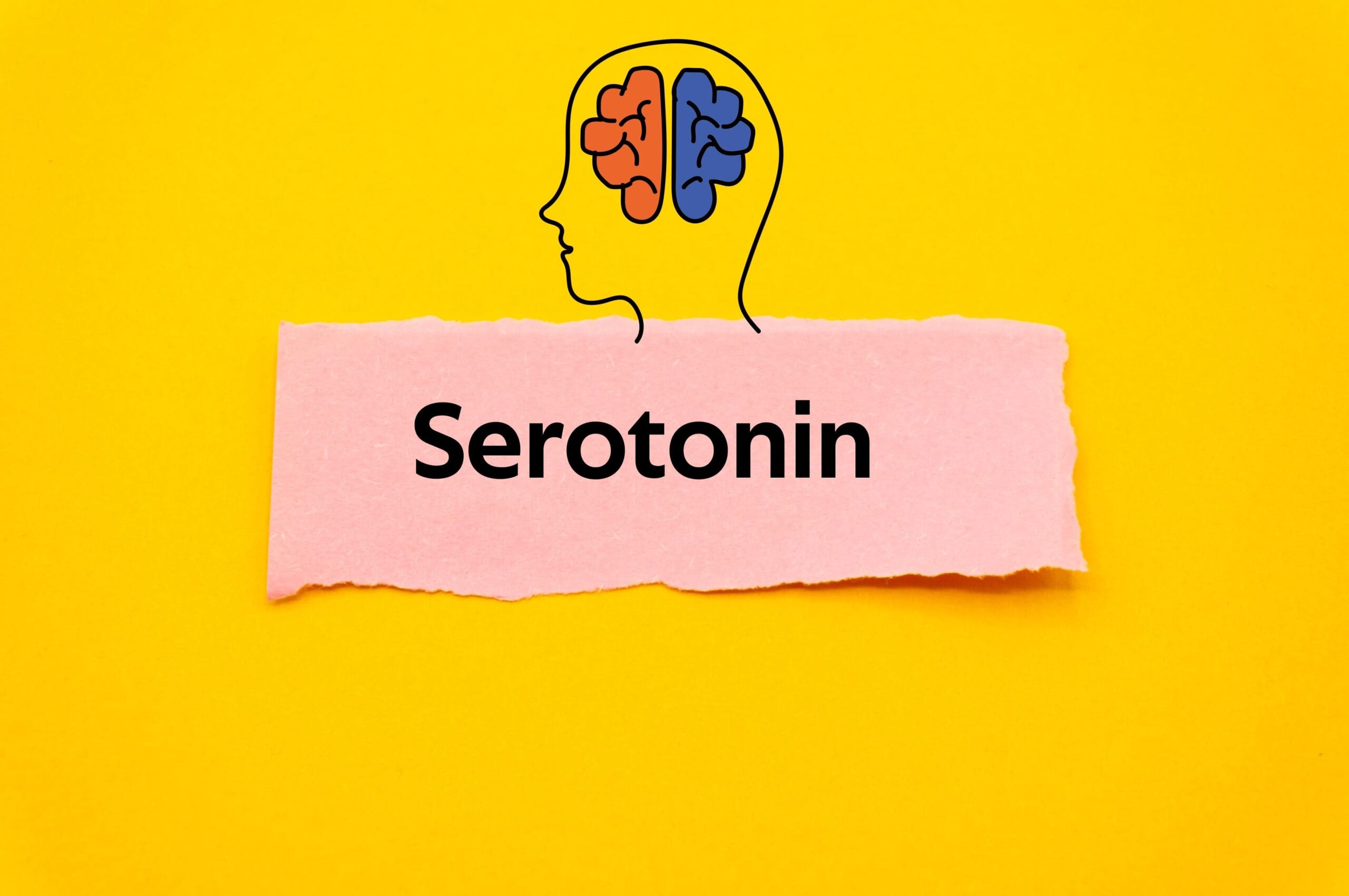 Mengenal Fungsi Serotonin dan Cara Meningkatkannya Secara Alami 3 shutterstock 2154891389 1 scaled 1